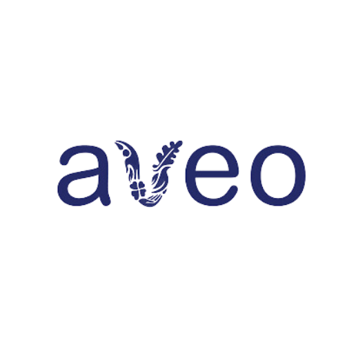 Aveo-Logo-3.png